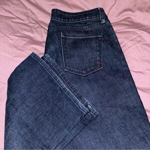 Banana Republic Classic Boot Cut Dark Women's 10